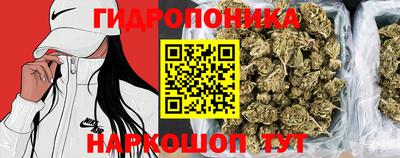 крисы Лениногорск