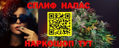 крисы Лениногорск