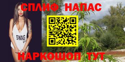 крисы Лениногорск