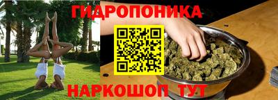 крисы Лениногорск