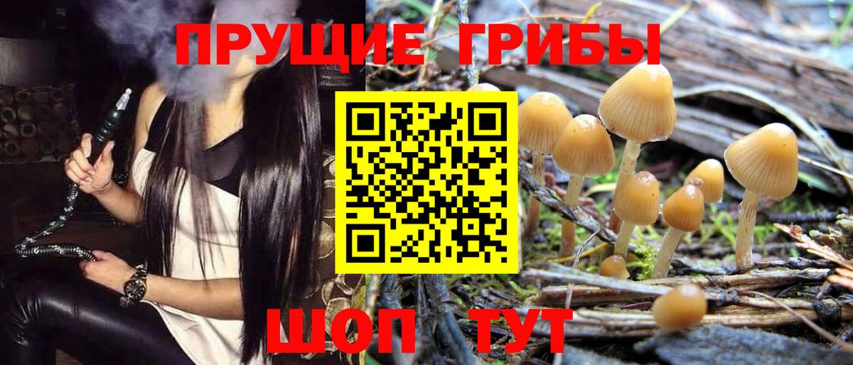 Галлюциногенные грибы MAGIC MUSHROOMS Прохладный